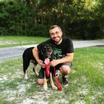 Dom Izzo Poker - @dizzopoker - Instagram