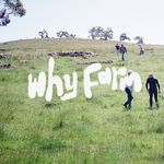 Dom Walker - @_whyfarm - Instagram