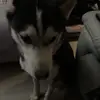 Dom Wright - @dom.wright3 - TikTok