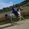 Domenico Cacciatore - @domenicocacciator4 - TikTok