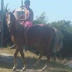 domenico cacciatore - @domenico__2000 - Instagram
