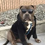 Domenico Rossi - @domenico.rossi.7921975 - Instagram