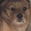 Rossi - @domenico.rossi767 - TikTok