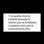 Dominga Cisneros - @domingacisneros8 - Instagram