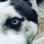 Domingo Cabrera - @domingo_cabrera_carrillo - Instagram
