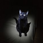 Domingo Segundo - @domingoblackcat - Instagram