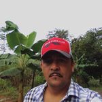 Domingo Solis - @domingosolis506 - Instagram