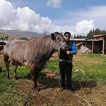 Jesus Domingo Trillo Zarate - @trillojesus - Instagram
