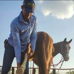 Domingos Alves - @domingos_alves_costa_filho - Instagram