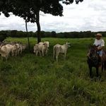 Domingos Arruda - @domingos.arruda.12979 - Instagram