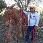 DOMINGOS BARBoSA ARRUDA - @domingosbarbosaarruda - Instagram