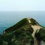 Dominic Barrett - @dominicbazzer - Instagram