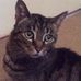 Dominic Barrett - Facebook