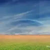 dominicbarrett727 - @dominicbarrett727 - TikTok