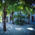 Dominic Cox - @thedolphinhouseinbimini - Instagram