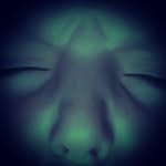 Dominic eckman - @playdohdohdohdoh - Instagram