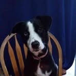 Dominic Elder - Facebook