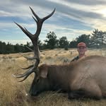 Dominic Gray - @dominicmgray - Instagram