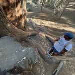 Dominic Lowery-Bowen - @no.limits.forme - Instagram