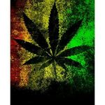 dominic meeks - @dominic03030 - Instagram