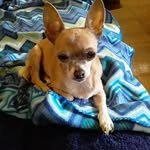 Dominic Olson - @dominic.vasquez.5268 - Instagram