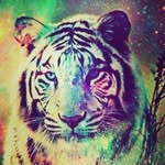 dominic Olson - @freezehky23_ - Instagram