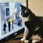 Dominic Page - @dominicpage - Instagram