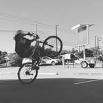 𝔇𝔬𝔪𝔦𝔫𝔦𝔠𝔭𝔞𝔤𝔢 - @_dominicpage_9_ - Instagram