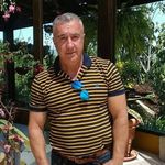 dominic Patrick - @dominicpatrick8 - Instagram