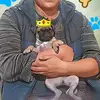 Roy Dominic - @roy.dominic - TikTok