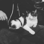 Dominic Schell - @dominic.schell.77 - Instagram