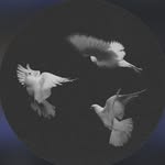 Dominic Sinclair - @dom_sinclair2024 - Instagram