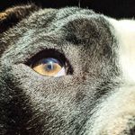 Dominic steele - @dominic_steele - Instagram