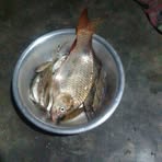 Dominic Suwer - Facebook
