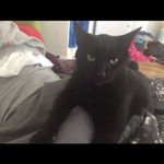 Dominic Sutton - @dominic.sutton_ - Instagram