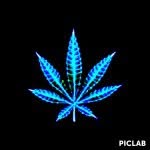 Dominic Tanner - @3_point_king_25 - Instagram