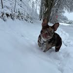 Dominic Tanner - @dtaenny - Instagram