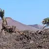 Dominic Ware - @dominic.ware - TikTok