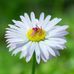 Dominic Wilson - Facebook