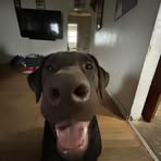 Dominic Wolfe - Facebook