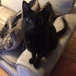 Dominic Wright - @dominic.wright.7169 - Instagram