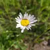 Dominick Aliz - @dominick.aliz - TikTok