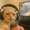 Dominick Diaz - @domin.770 - TikTok
