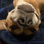 Dominick Forder - @dominick_forder - Instagram
