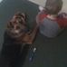 Dominic Ronchetti Thorne - Facebook