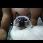 Dominick Sánchez - @dominick_tecla - Instagram