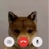 dominicksanchez11 - @dominicksanchez11 - TikTok