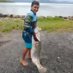 Dominic Singleton - Facebook