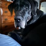 Dominic Skinner - @dskinner440 - Instagram