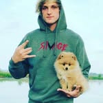 Dominick Austin Skinner - @wildwolf2345 - Instagram